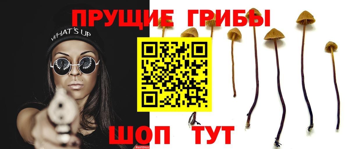 Чистополь  Псилоцибиновые грибы мухоморы  Вход с VPN  Псилоцибиновые грибы ЛСД 